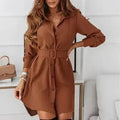 Brown A-line knee-length shirt dress with a belt and long sleeves.